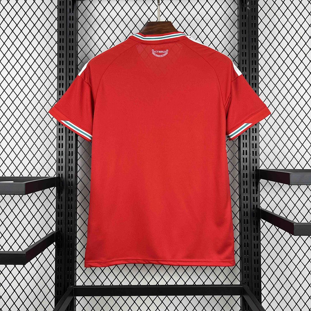 Camisa Seleção País de Gales Home 2025/26 5